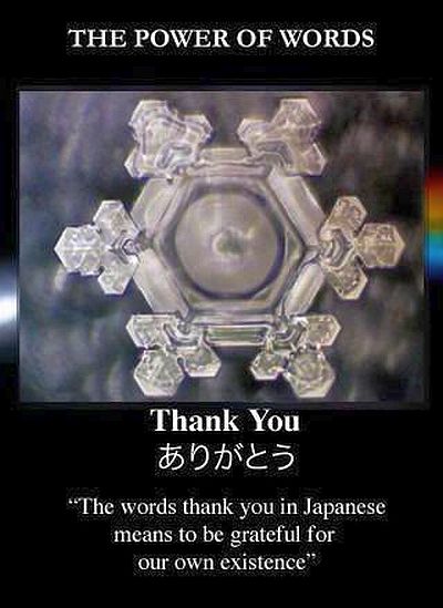 dr-emoto