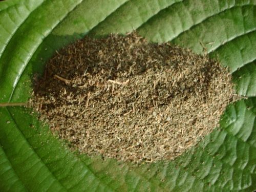 kratom-powder