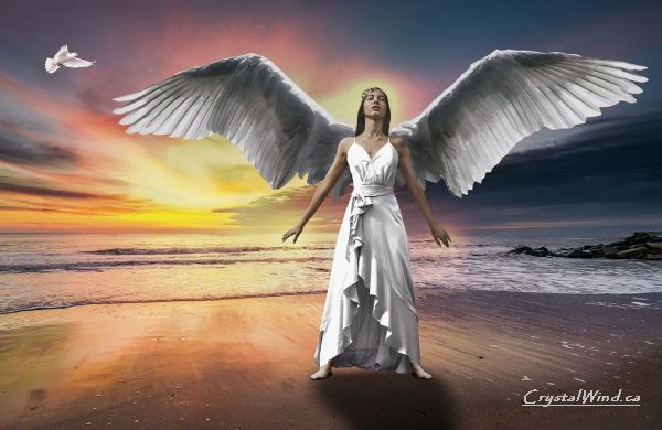Angels: It Is We Who Shield You from Outside Energies