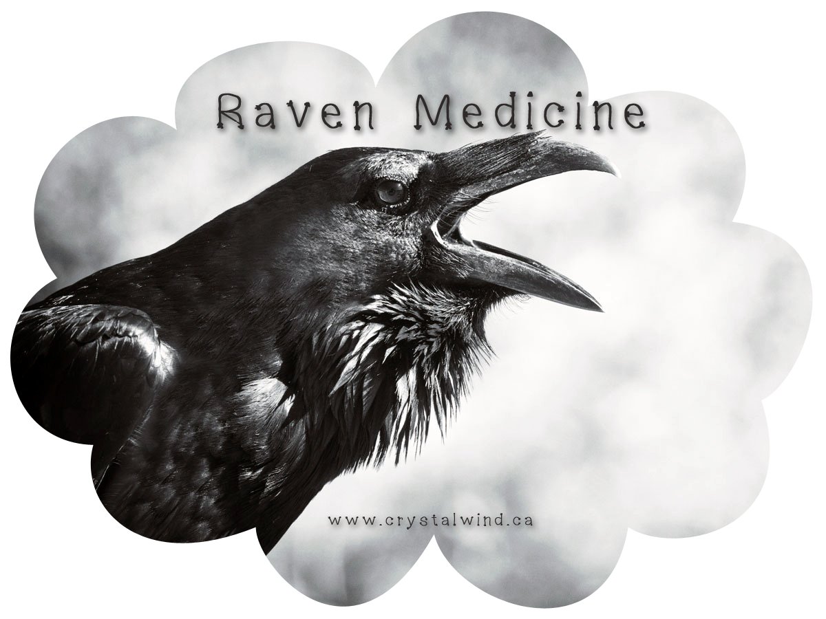 Raven Medicine