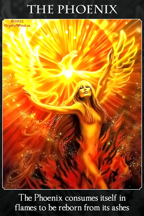 Phoenix Oracle Card