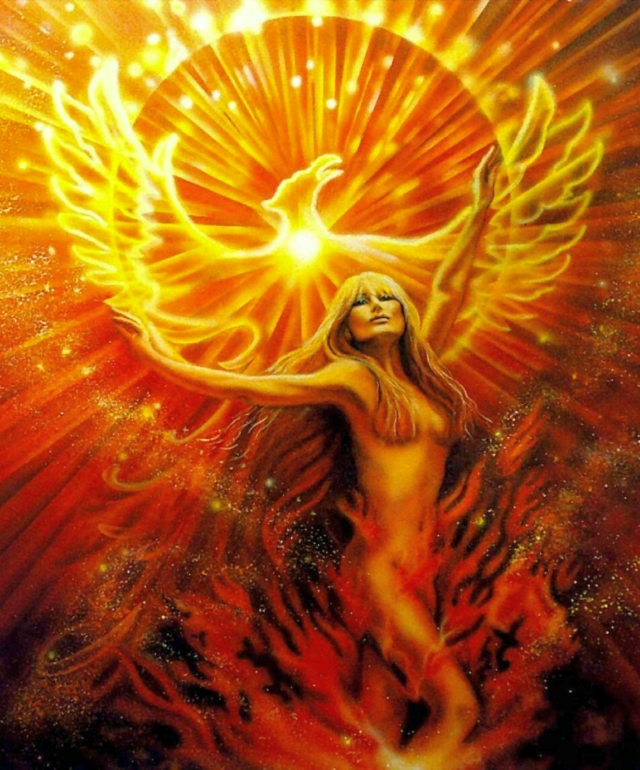 phoenix rising by lisa iris