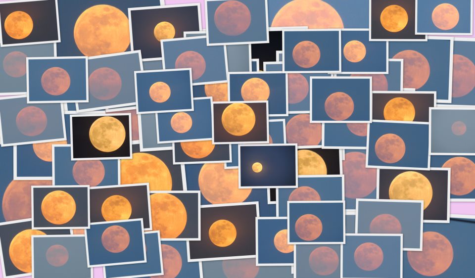 Hunter’s Moon collage from EarthSky Facebook friend Kausor Khan in Hyberabad, India. Notice that she choose reddish moons to depict the Hunter’s Moon. That’s because many people see the Hunter’s Moon low in the sky, and moons seen low in the sky appear reddish. In 2014, the Hunter’s Moon – sometimes called the Blood Moon – will come on October 8. It will feature the second total eclipse of the moon in the ongoing lunar tetrad. So we’ll have two reasons to call the October 8 moon a Blood Moon. hunters-moon-collage