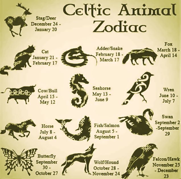 Celtic Animal Zodiac