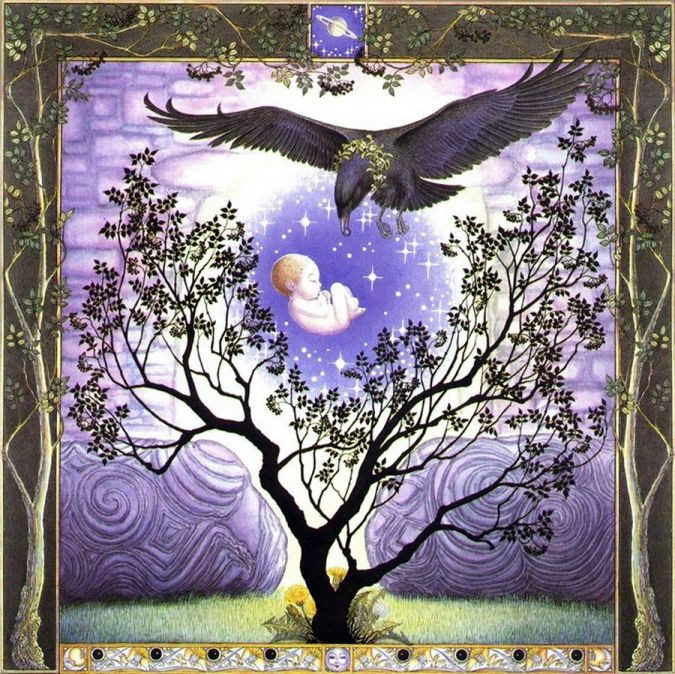 The Elder Tree - November 25 - December 22