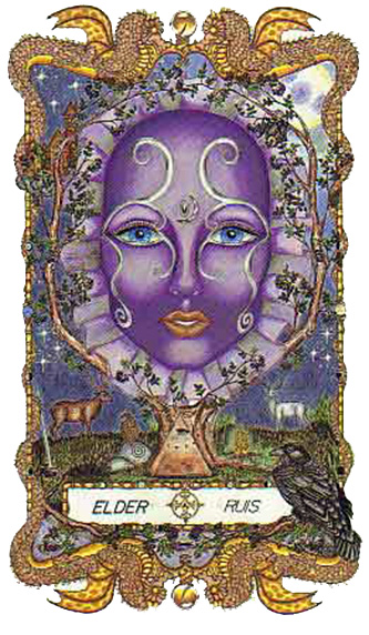 Druid Elder druid_elder