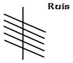 Ruis ruis