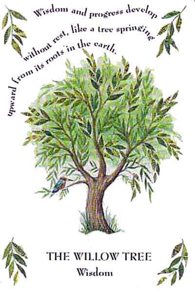 CrystalWind.ca - The Willow Tree - April 15th - May 12th | Celtic Zodiac