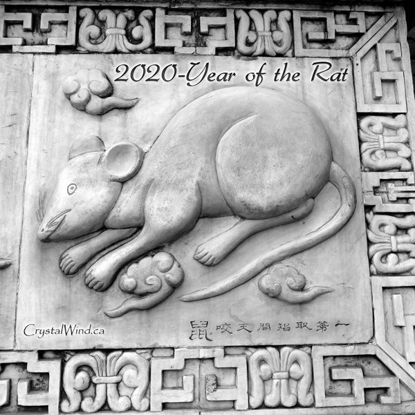 2020 - Year of the Rat