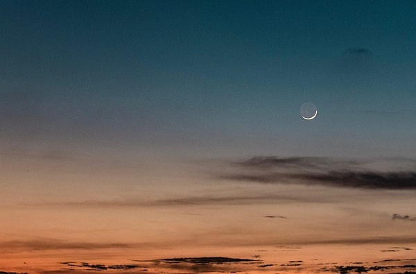 New Moon in Virgo, September 17, 2020 - Small Flowers Crack Concrete New Moon in Virgo, September 17, 2020 - Small Flowers Crack Concrete