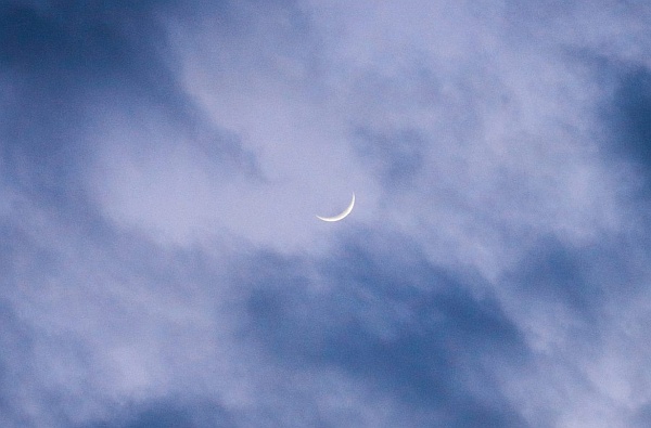 New Moon in Leo, August 19, 2020 - Keep your Heart New Moon in Leo, August 19, 2020 - Keep your Heart