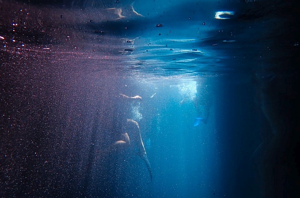 New Moon in Cancer, June 21, 2020 - The Turn of the Tides New Moon in Cancer, June 21, 2020 - The Turn of the Tides