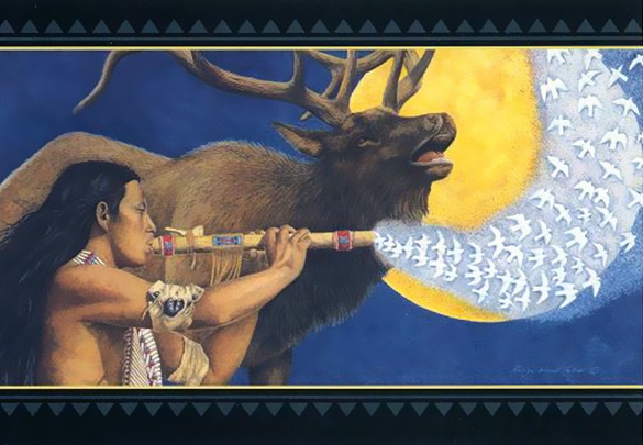 Elk elk