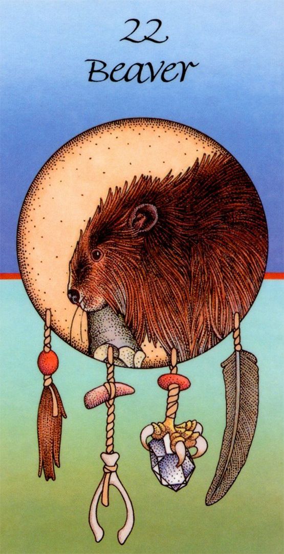 beaver card