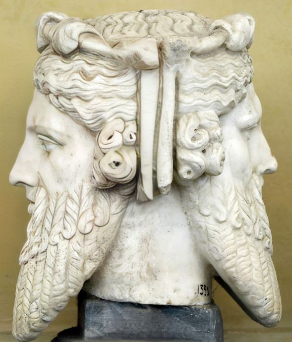 Janus janus