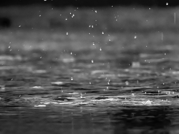 Rain Rain
