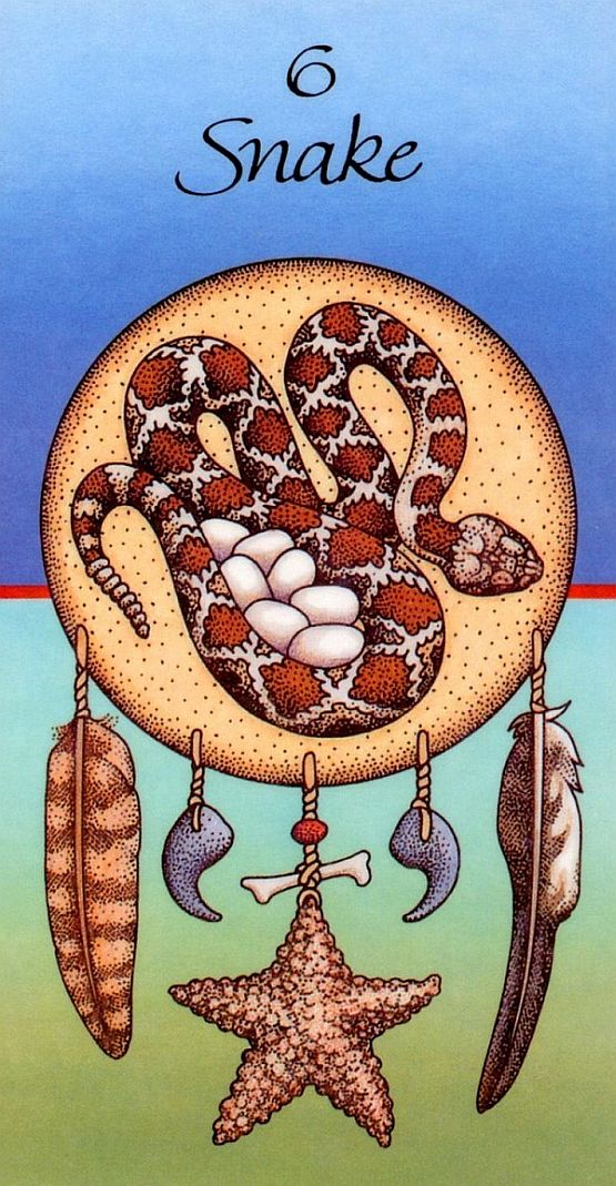 snake card 