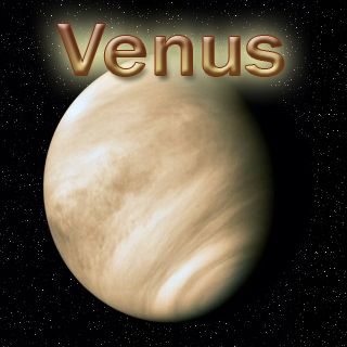 Venus Venus