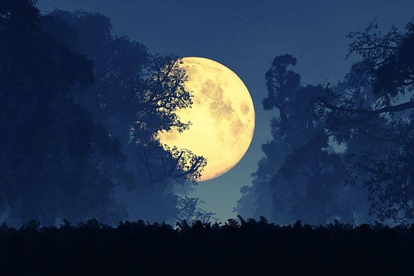 Lunar Eclipse in Cancer Emotional Vortex Lift Your Energy Higher