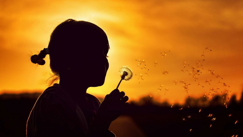Solar Eclipse 26 February 2017 The Wish make-a-wish-flower-girl