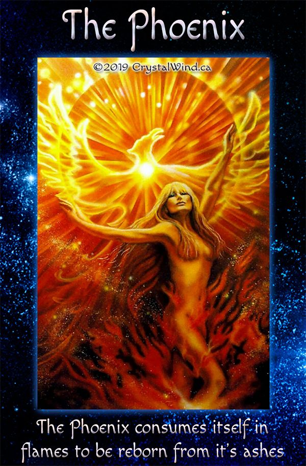 Full Moon September 14, 2019 - The Phoenix Full Moon September 14, 2019 - The Phoenix