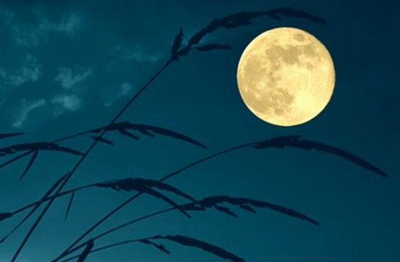 Full Moon Update 9-20-2021