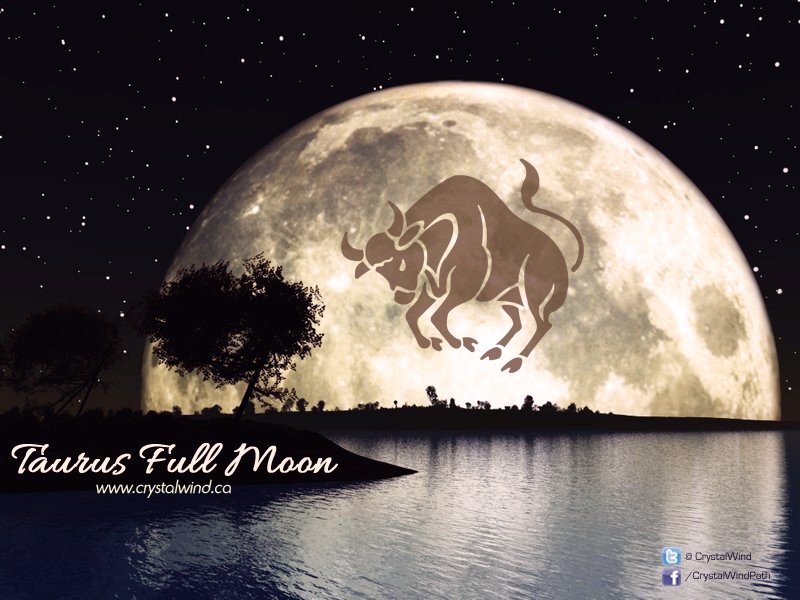 Full Moon Eclipse Update 11-8-2022