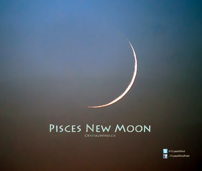 New Moon Update 3-2-22