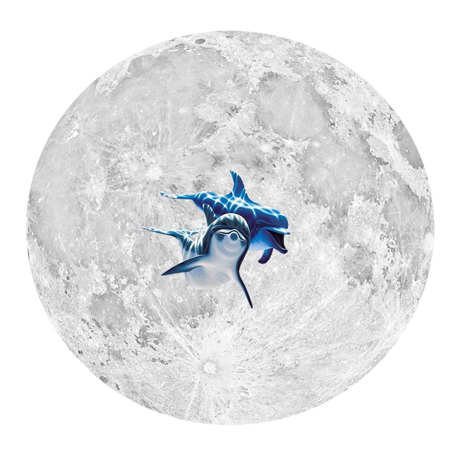 Full Moon Update 8-26-18 Full Moon Update 8-26-18