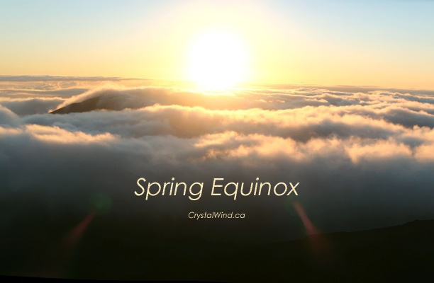 Spring Equinox Update 2021