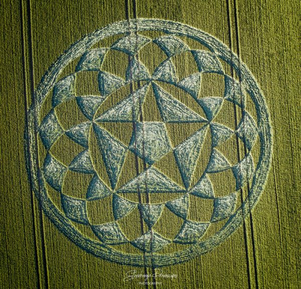 Crop Circle June 29th, 2020 Crop Circle June 29th, 2020