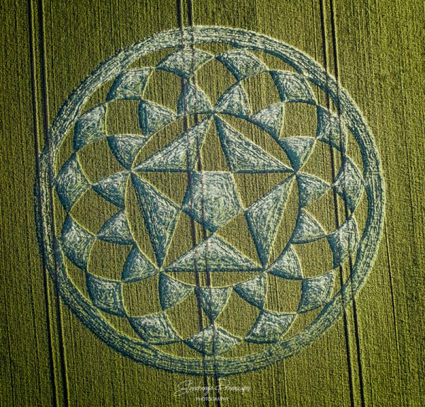 Crop Circle June 29th, 2020