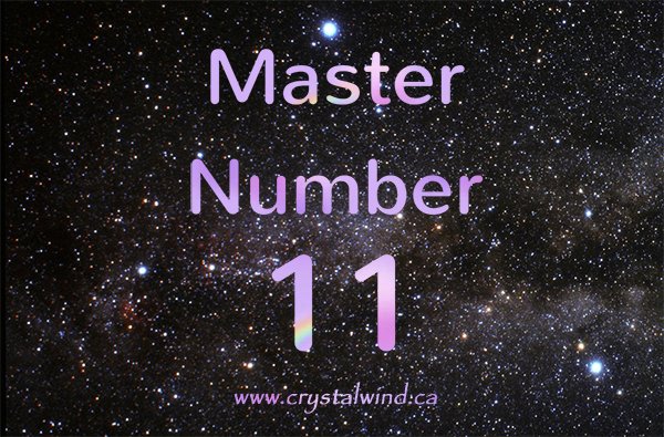 The Master 11 Year master11