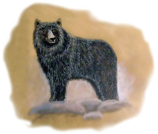 Birth Totem - Bear Birth Totem - Bear