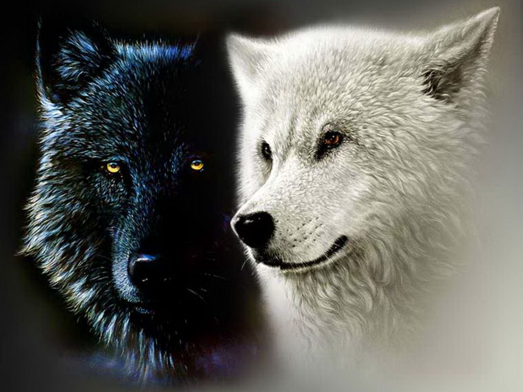 Birth Totem Wolf wolf_totem