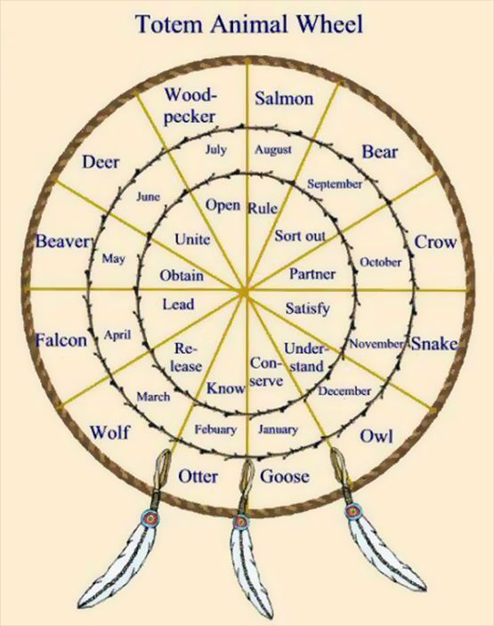 totem-animal-wheel