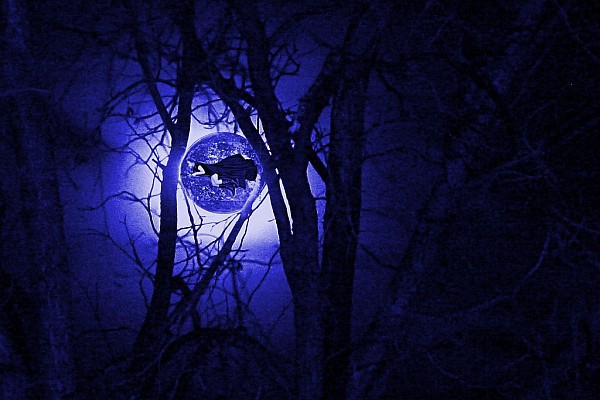 Tune into the moon's energies to increase the quality of your life. tunein