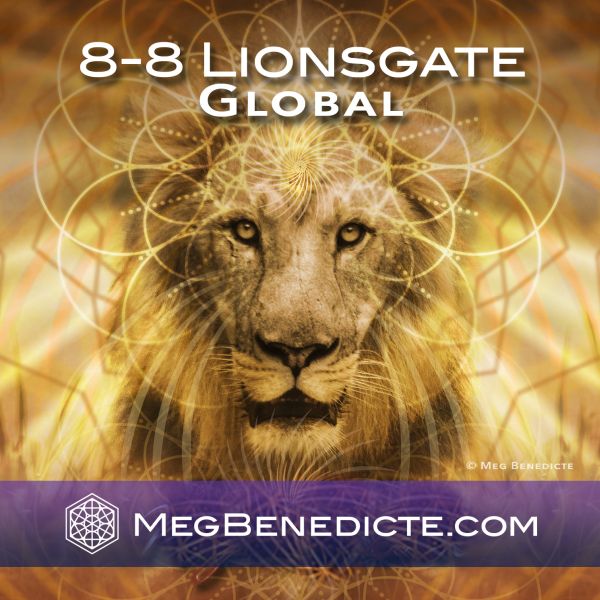 LionsGate Activations