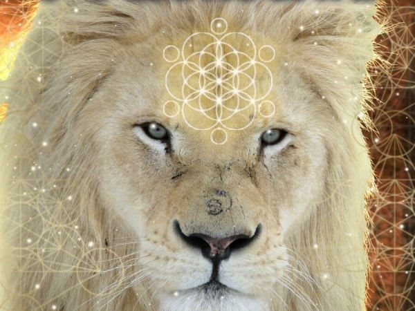 LionsGate Heart-Centered Mindset LionsGate Heart-Centered Mindset