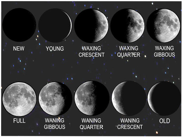 The Progressed Moon - Cycles, Symbols, and Secrets