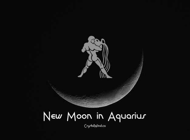 The January 2020 New Moon at 5 Aquarius Pt. 1