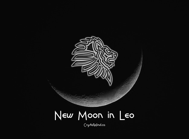 The August 2023 New Moon at 24 Leo Pt. 1