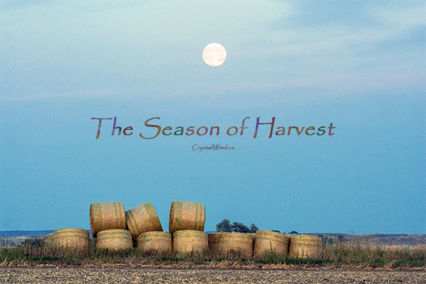 Favorable Transits in the Season of Harvest