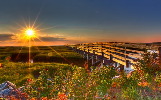 Cool Spring cool-spring-wallpaper