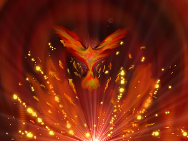 Rising Phoenix rising-phoenix