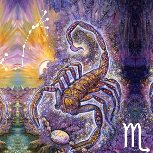 Scorpio scorpio