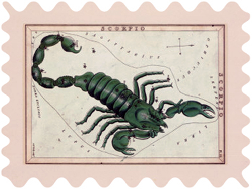 Vocational Interests for Scorpio scorpio_stamp