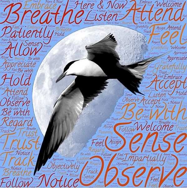 23rd November 2018: Full Moon in Gemini 23rd November 2018: Full Moon in Gemini