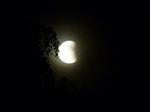 Life Under A Lunar Eclipse: Nothing Is Quite As It Seems.. Life Under A Lunar Eclipse: Nothing Is Quite As It Seems..