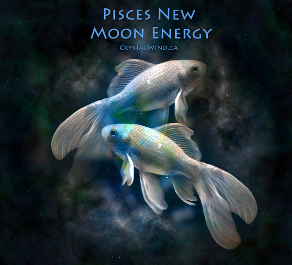 The New Moon in Pisces